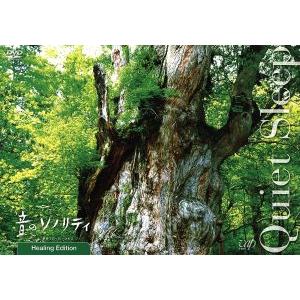 音のソノリティ ヒーリングエディション QUIETSLEEP (BGV) - 最安値