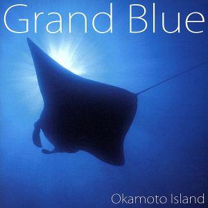 Grand Blue/Okamoto Island,岡本博文(g),佐伯準一(key),イスラエル・...