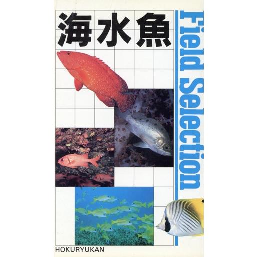 海水魚 フィールドセレクション１１／北隆館(その他)