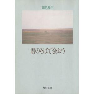 君のそばで会おう 角川文庫/銀色夏生【著】