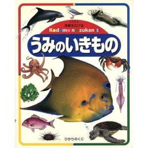 うみのいきもの 体験を広げるこどものずかん５／ひかりのくに