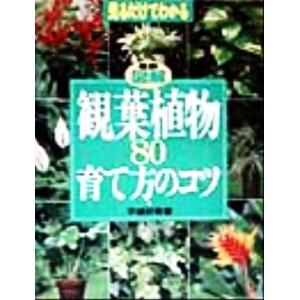 最新図解 観葉植物80育て方のコツ 見るだけでわかる/平城好明(著者)