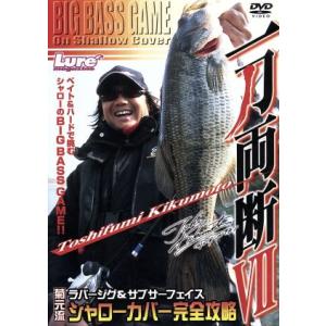 一刀両断 VII/菊元俊文