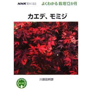 趣味の園芸　カエデ、モミジ よくわかる栽培１２か月 ＮＨＫ趣味の園芸／川原田邦彦【著】