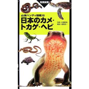 日本のカメ・トカゲ・ヘビ 山溪ハンディ図鑑１０／松橋利光【写真】，富田京一【解説】｜bookoffonline