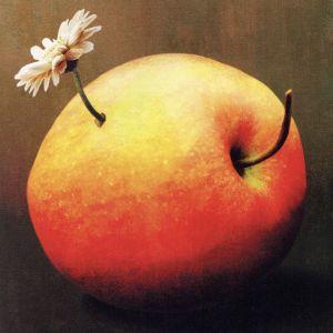 小さな掌/Aqua Timez