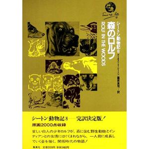 鳥瞰図 バーズアイマップ 或る日のミッドタウン 地図 ニューヨーク