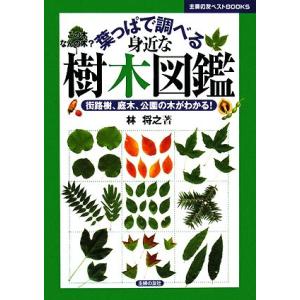 葉っぱで調べる身近な樹木図鑑 街路樹、庭木、公園の木がわかる！