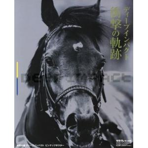 ディープインパクト衝撃の軌跡 エンターブレイン・ムック/エンターブレイン