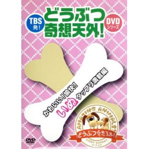 TBS発！「どうぶつ奇想天外！」DVDシリーズ かわいい！愉快！いぬタップリ満載編/(バラエティ)