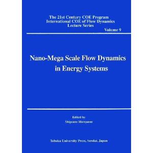 Nano-Mega Scale Flow Dynamics in Energy Systems Th...