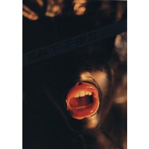 月刊 森下千里 3/大橋仁(著者),森下千里