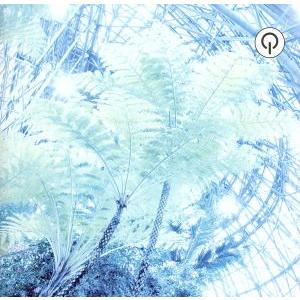 Project Green vol.1-Forest City-/(オムニバス)