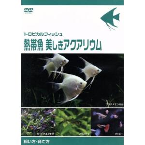 熱帯魚 美しきアクアリウム 飼い方育て方 （趣味／教養） 中野小百合の商品画像