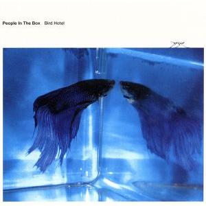 Bird Hotel/People In The Box