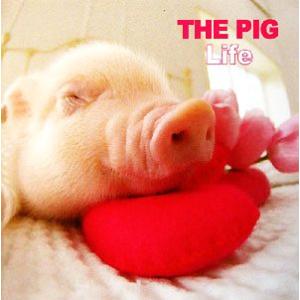 THE PIG Life/Artlist Inc.【著】　