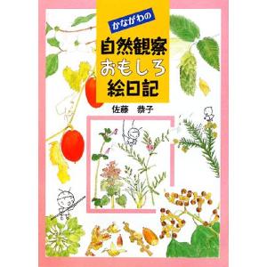 かながわの自然観察おもしろ絵日記 佐藤恭子【著】の買取情報