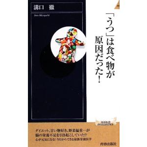 「うつ」は食べ物が原因だった！ 青春新書ＰＬＡＹ　ＢＯＯＫＳ／溝口徹