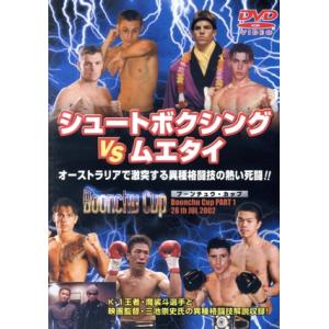 シュートボクシングVSムエタイ/スポーツ