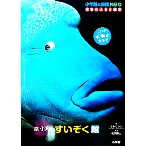 原寸大　すいぞく館 小学館の図鑑ＮＥＯ　本物の大きさ絵本／さかなクン(著者),松沢陽士(写真家)