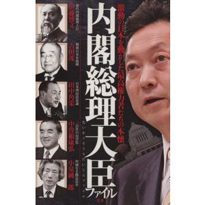内閣総理大臣ファイル／政治