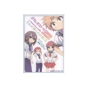 バカとテストと召喚獣 SPINOUT！それが僕らの日常。(1) ファミ通クリアC/namo(著者)