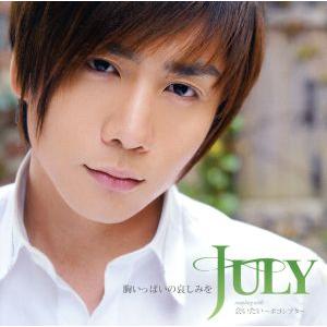 胸いっぱいの哀しみを/July