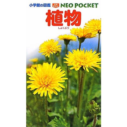 植物 小学館の図鑑NEO POCKET2/和田浩志【監修・執筆】,岡田比呂実【指導・執筆】,斎藤光一...
