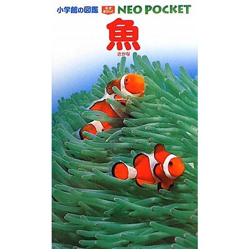 魚 小学館の図鑑ＮＥＯ　ＰＯＣＫＥＴ３／井田齊【監修・執筆】，朝日田卓【指導・執筆】，松浦啓一，藍澤...