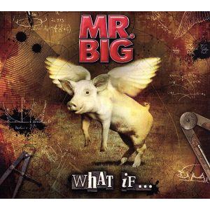 ホワット・イフ・・・(期間限定スペシャル・プライス盤)/MR.BIG