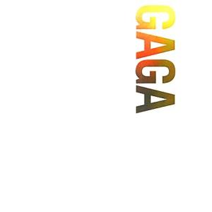 レディー・ガガ エッセンシャル・フォトバイオグラフィー／ジョニーモーガン【著】，藤沢祥子【訳】