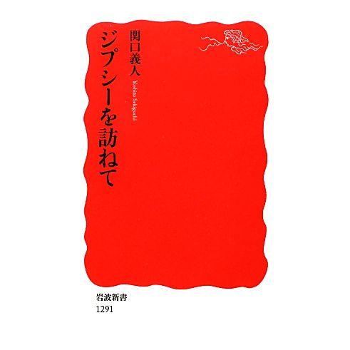 ジプシーを訪ねて 岩波新書/関口義人【著】