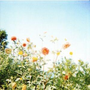 OUR REBEL SONGS~素晴らしきコアレコードの世界~