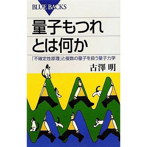 量子もつれとは何か 「不確定性原理」と複数の量子を扱う量子力学 ブルーバックス/古澤明【著】