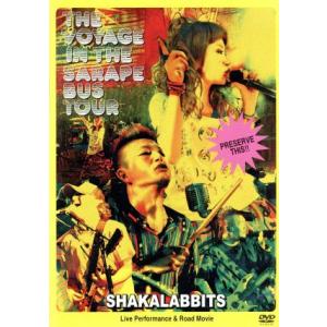 2010年サラペのBUS TOUR/SHAKALABBITS