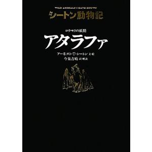 コウモリの妖精　アタラファ シートン動物記／アーネスト・トンプソンシートン【文・絵】，今泉吉晴【訳・...