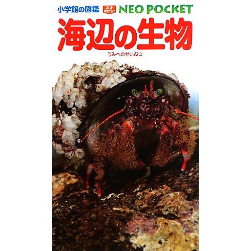 海辺の生物 小学館の図鑑NEO POCKET6/白山義久,甲斐嘉晃,駒井智幸,齋藤寛,長谷川和範
