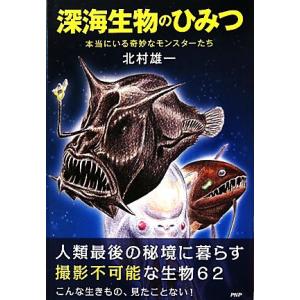 深海生物のひみつ 本当にいる奇妙なモンスターたち／北村雄一【著】