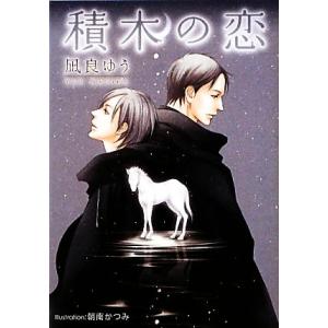 積木の恋 プラチナ文庫/凪良ゆう【著】