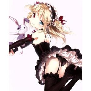 僕は友達が少ない 第5巻(Blu-ray Disc)/平坂読(原作),木村良平(羽瀬川鷹),井上麻里...