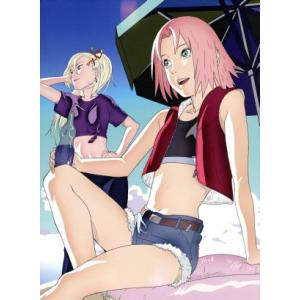 NARUTO-ナルト-疾風伝 船上のパラダイスライフ 1/岸本斉史(原作),竹内順子(うずまきナル　