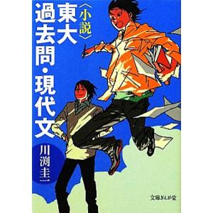 小説 東大過去問・現代文 文庫ぎんが堂/川渕圭一【著】