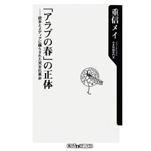 「アラブの春」の正体 欧米とメディアに踊らされた...の商品画像