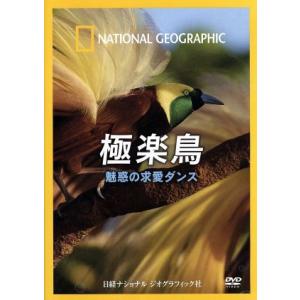 極楽鳥の魅惑の求愛ダンスの買取情報
