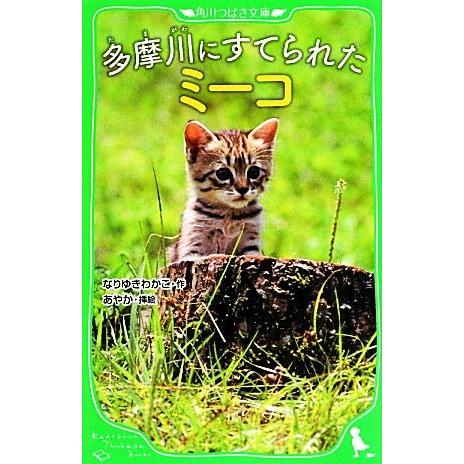 多摩川にすてられたミーコ 角川つばさ文庫/なりゆきわかこ【作】,あやか【絵】