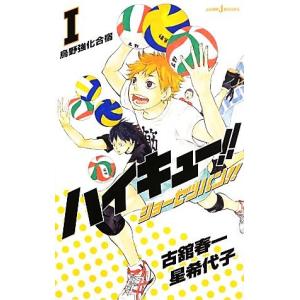 ハイキュー!!ショーセツバン!!の高価買取価格