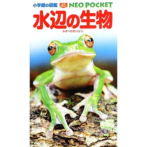 水辺の生物 小学館の図鑑NEO POCKET9/白山義久(著者),松沢陽士(著者)