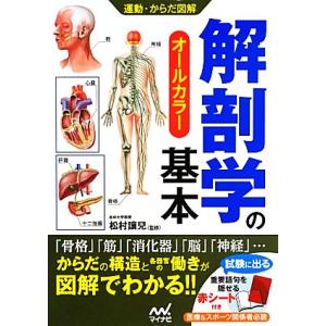 解剖学の基本 運動・からだ図解/松村譲兒【監修】