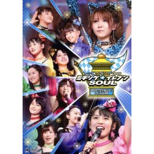 モーニング娘。コンサートツアー2013春 ミチシゲ☆イレブンSOUL 〜田中れいな卒業記念日〜 in...