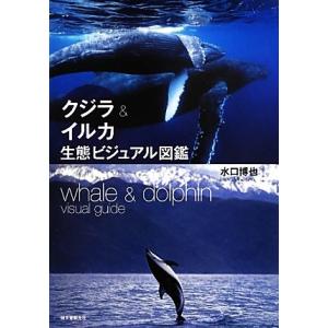 クジラ＆イルカ生態ビジュアル図鑑／水口博也【著】